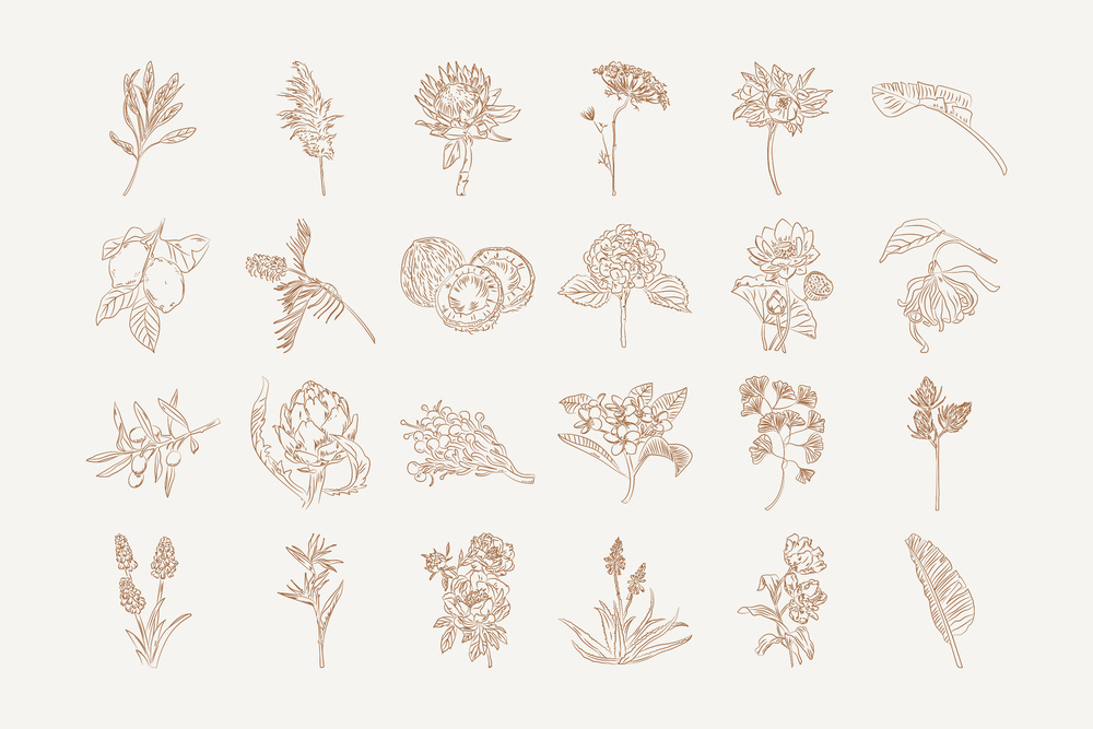 Bohemian Logo Kit