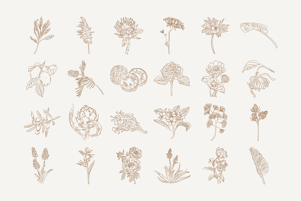 Bohemian Illustration Set