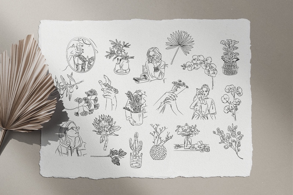 Bohemian Illustration Set