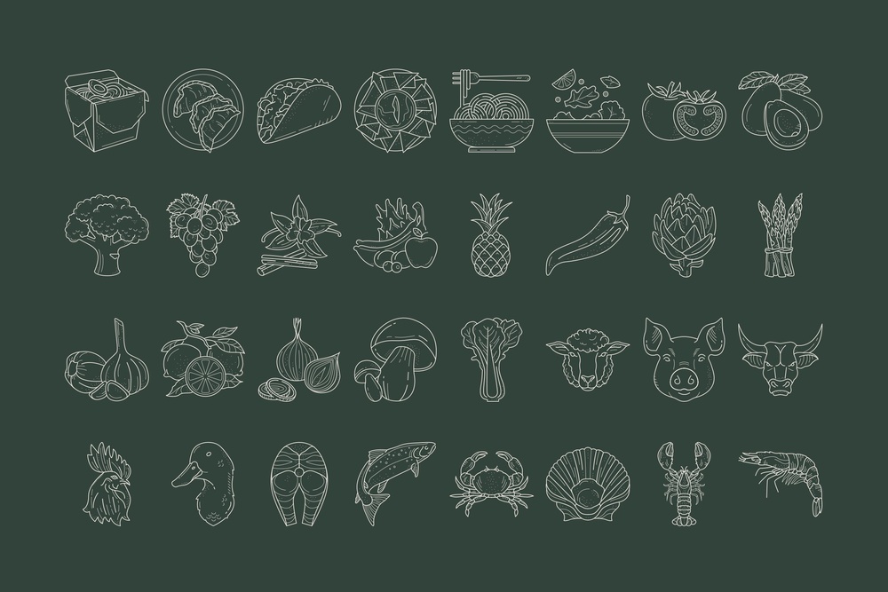 Food Illustration Set