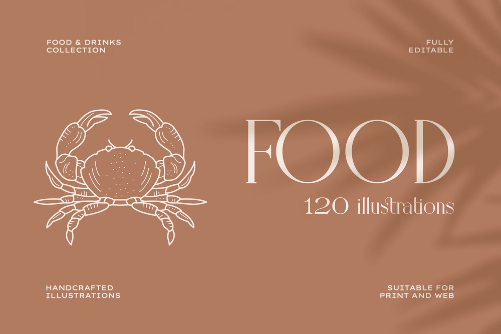 Food Illustration Set