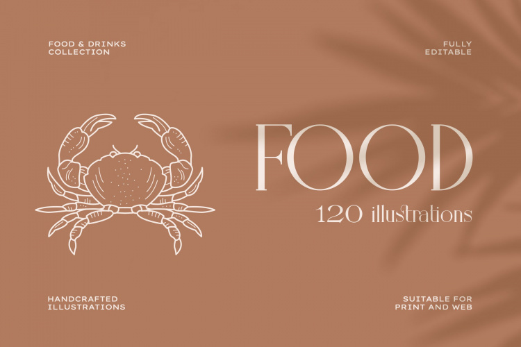 Food Illustration Set