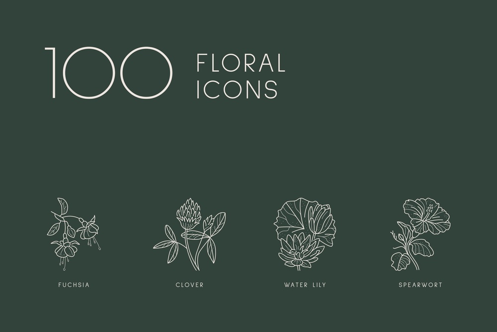 Floral Illustration Set