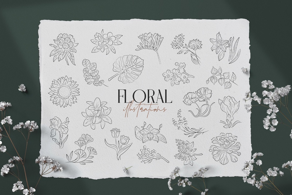 Floral Illustration Set