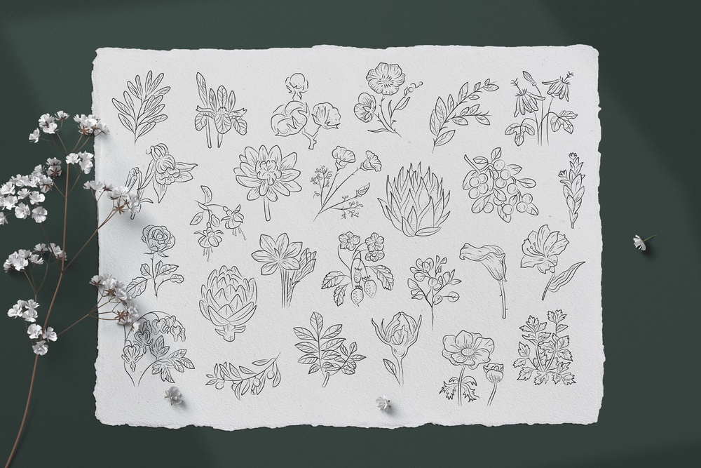 Floral Illustration Set