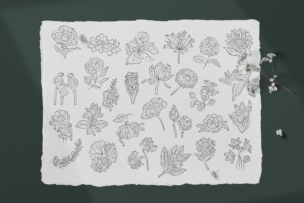 Floral Illustration Set
